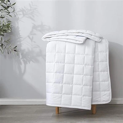 Twin Size Microfiber Madras Pad ProtectorTopper